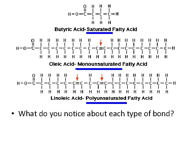  • What do you notice about each type of bond? 