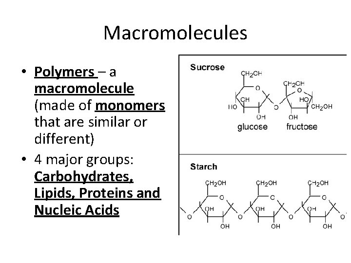Macromolecules • Polymers – a macromolecule (made of monomers that are similar or different)