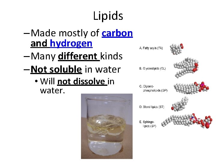 Lipids – Made mostly of carbon and hydrogen – Many different kinds – Not