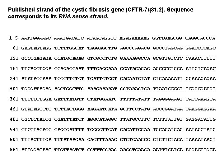Published strand of the cystic fibrosis gene (CFTR-7 q 31. 2). Sequence corresponds to