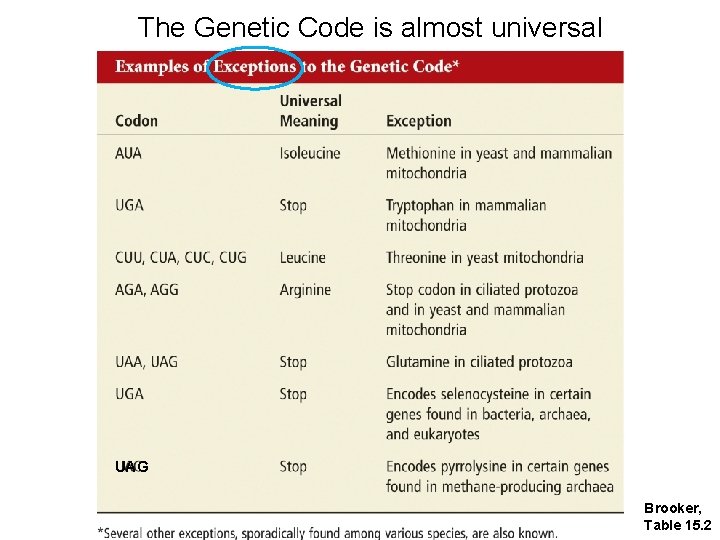 The Genetic Code is almost universal UAG Brooker, Table 15. 2 