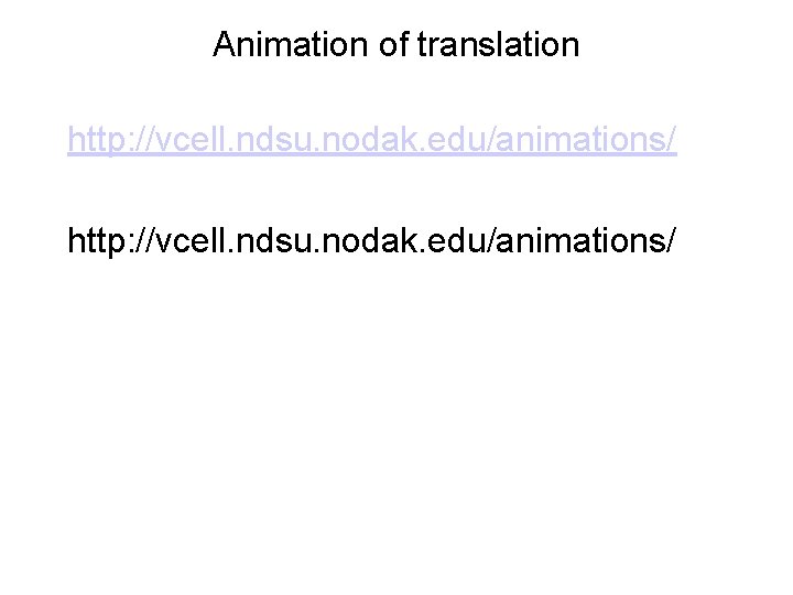 Animation of translation http: //vcell. ndsu. nodak. edu/animations/ 