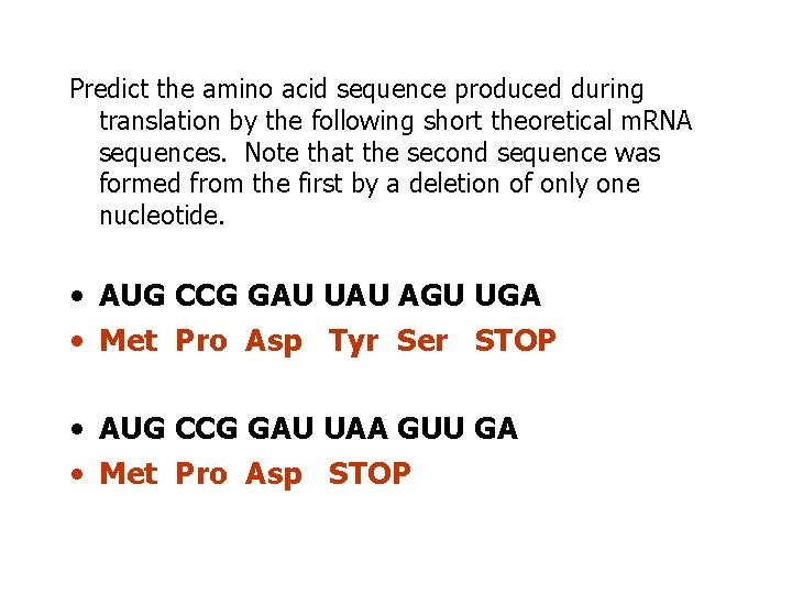 Predict the amino acid sequence produced during translation by the following short theoretical m.