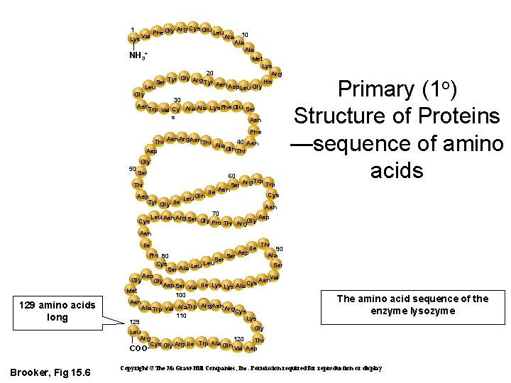 Arg Cys Glu 1 Phe Gly Leu Val Ala Lys 10 Ala NH 3+