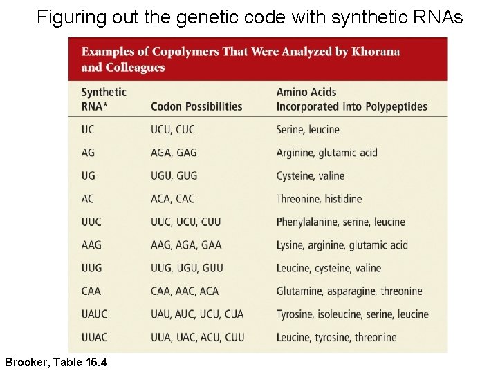 Figuring out the genetic code with synthetic RNAs Brooker, Table 15. 4 