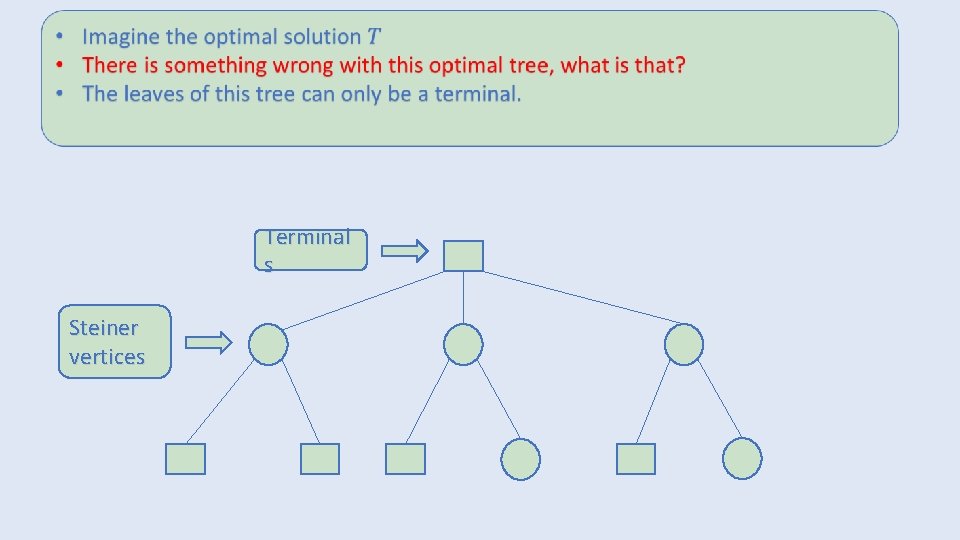 Terminal s Steiner vertices 