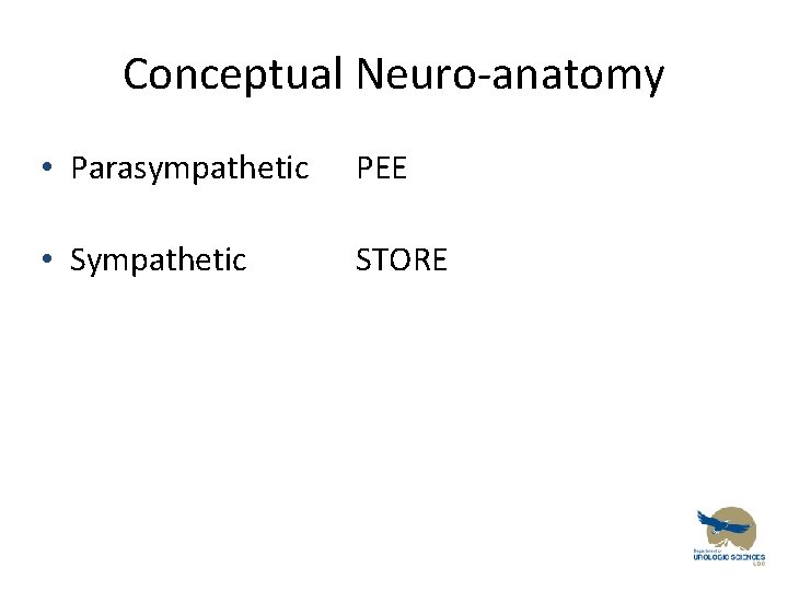 Conceptual Neuro-anatomy • Parasympathetic PEE • Sympathetic STORE 