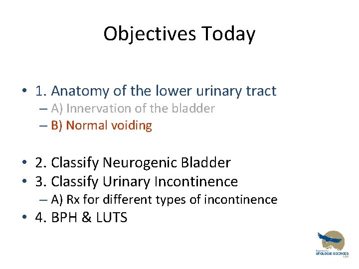 Objectives Today • 1. Anatomy of the lower urinary tract – A) Innervation of