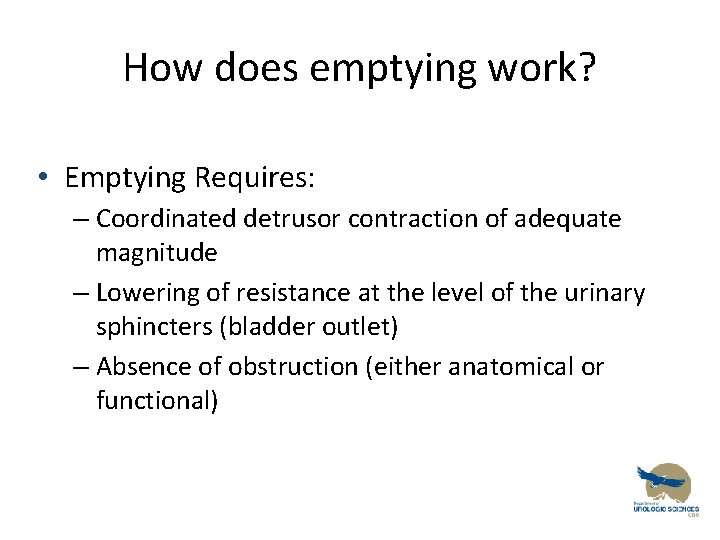 How does emptying work? • Emptying Requires: – Coordinated detrusor contraction of adequate magnitude