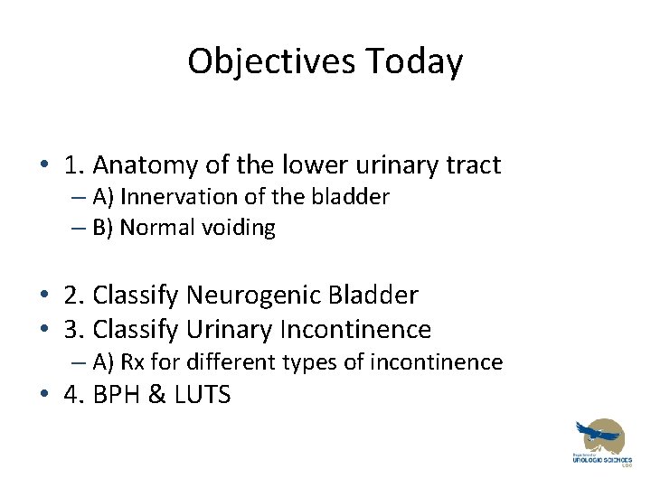 Objectives Today • 1. Anatomy of the lower urinary tract – A) Innervation of