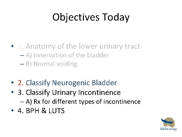 Objectives Today • 1. Anatomy of the lower urinary tract – A) Innervation of