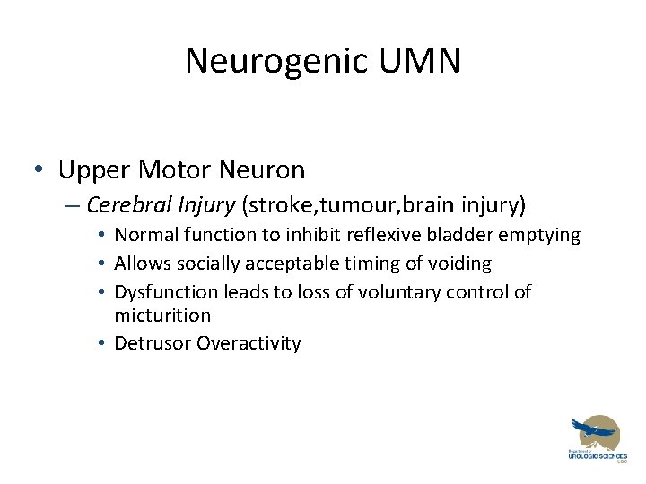 Neurogenic UMN • Upper Motor Neuron – Cerebral Injury (stroke, tumour, brain injury) •