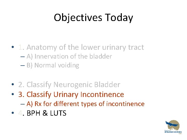 Objectives Today • 1. Anatomy of the lower urinary tract – A) Innervation of