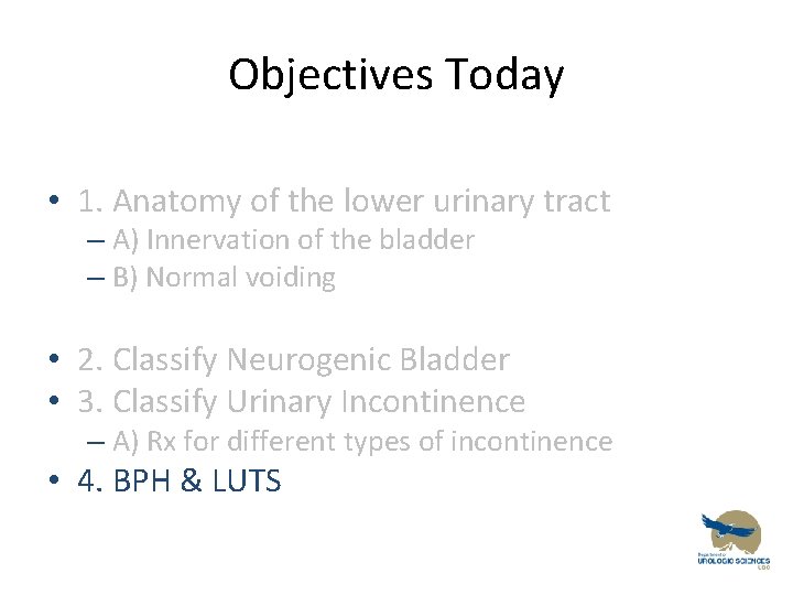 Objectives Today • 1. Anatomy of the lower urinary tract – A) Innervation of