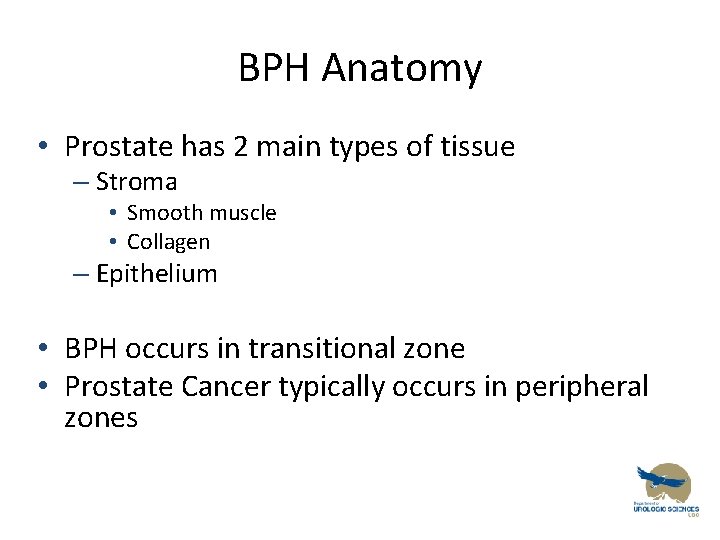 BPH Anatomy • Prostate has 2 main types of tissue – Stroma • Smooth