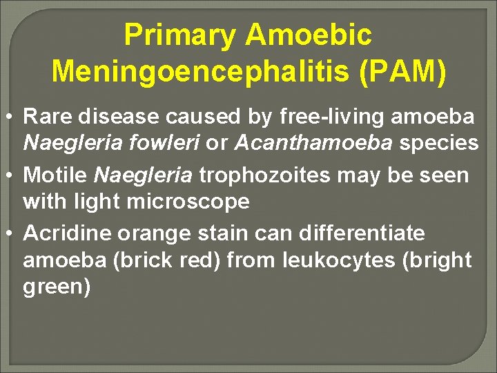 Primary Amoebic Meningoencephalitis (PAM) • Rare disease caused by free-living amoeba Naegleria fowleri or