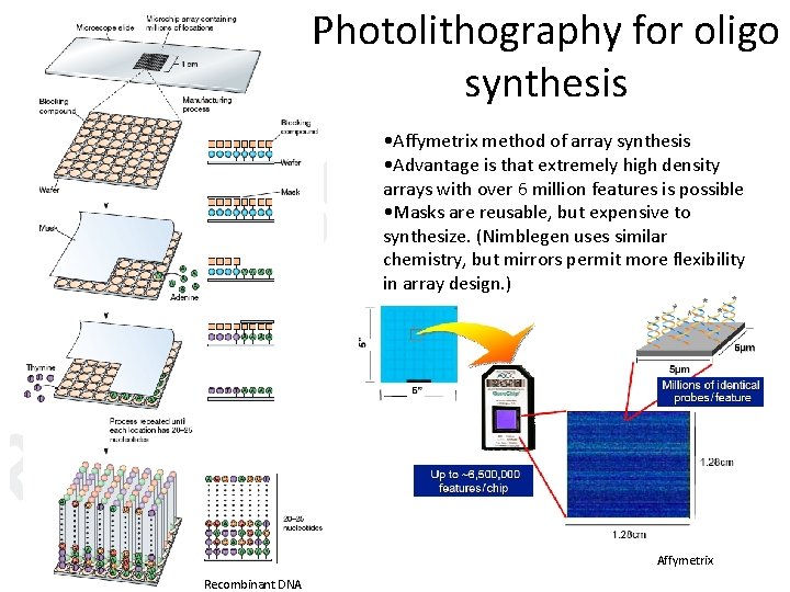 Photolithography for oligo synthesis • Affymetrix method of array synthesis • Advantage is that