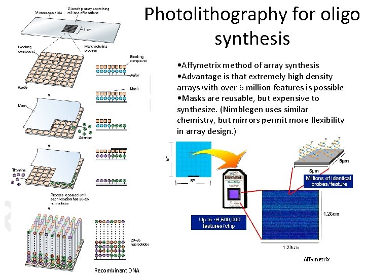 Photolithography for oligo synthesis • Affymetrix method of array synthesis • Advantage is that