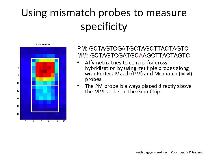 Using mismatch probes to measure specificity PM: GCTAGTCGATGCTAGCTTACTAGTC MM: GCTAGTCGATGCAAGCTTACTAGTC • Affymetrix tries to