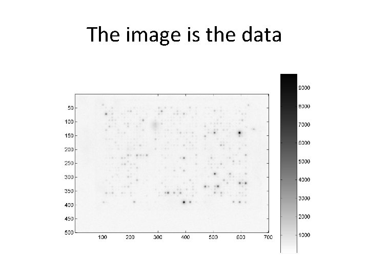 The image is the data 