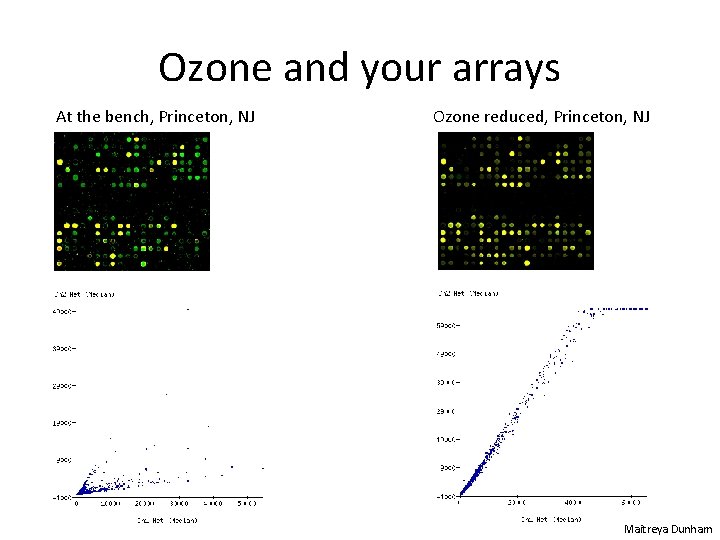 Ozone and your arrays At the bench, Princeton, NJ Ozone reduced, Princeton, NJ Maitreya