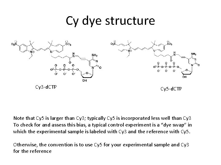 Cy dye structure Cy 3 -d. CTP Cy 5 -d. CTP Note that Cy