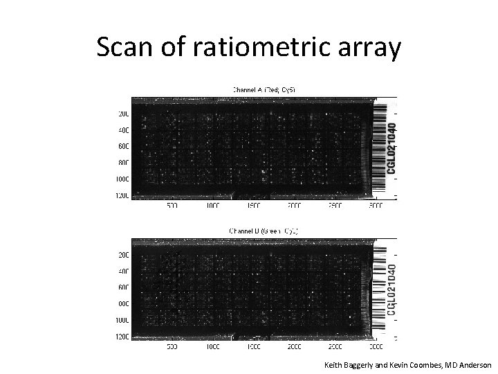 Scan of ratiometric array Keith Baggerly and Kevin Coombes, MD Anderson 