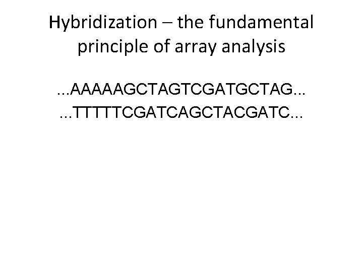 Hybridization – the fundamental principle of array analysis. . . AAAAAGCTAGTCGATGCTAG. . . TTTTTCGATCAGCTACGATC.