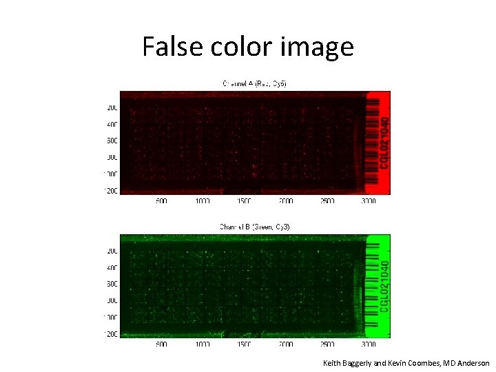 False color image Keith Baggerly and Kevin Coombes, MD Anderson 