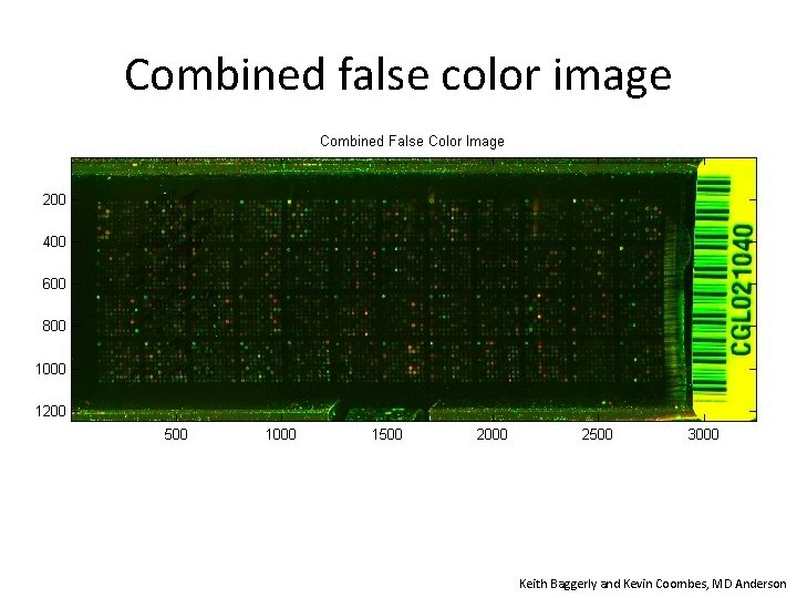 Combined false color image Keith Baggerly and Kevin Coombes, MD Anderson 