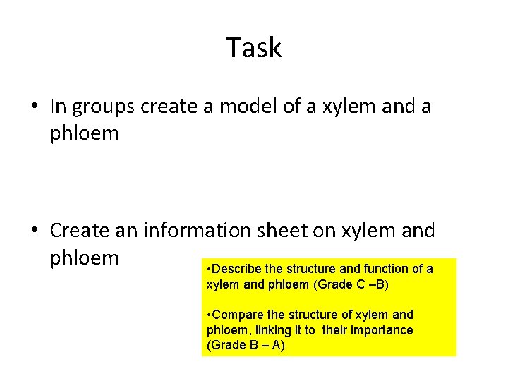 Task • In groups create a model of a xylem and a phloem • Task • In groups create a model of a xylem and a phloem •
