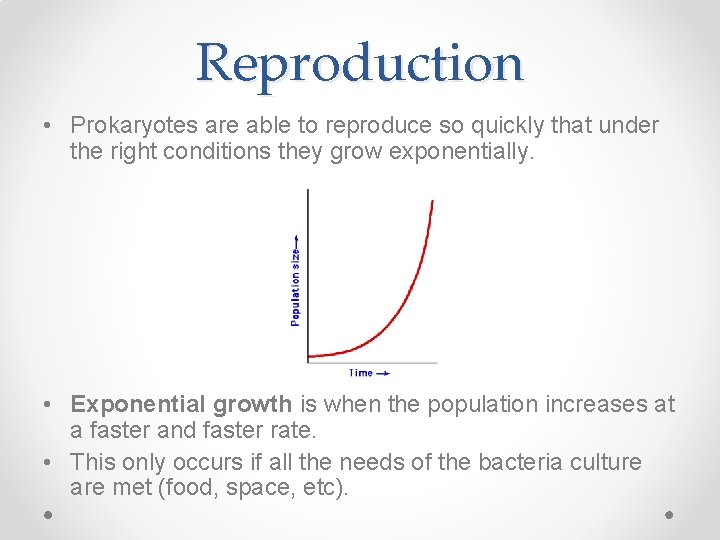 Reproduction • Prokaryotes are able to reproduce so quickly that under the right conditions