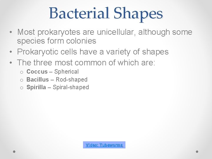 Bacterial Shapes • Most prokaryotes are unicellular, although some species form colonies • Prokaryotic