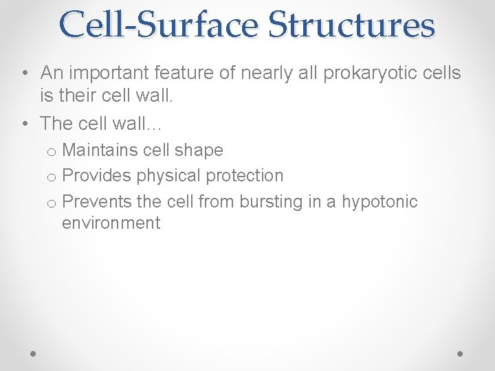 Cell-Surface Structures • An important feature of nearly all prokaryotic cells is their cell