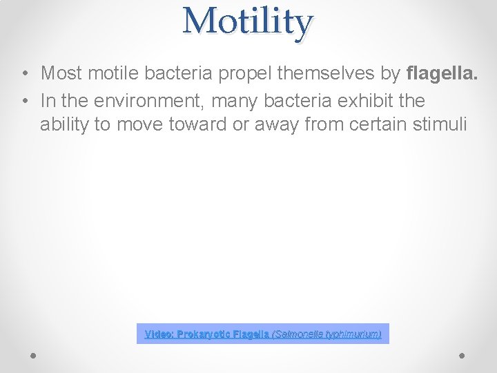 Motility • Most motile bacteria propel themselves by flagella. • In the environment, many