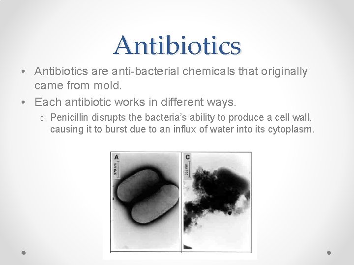 Antibiotics • Antibiotics are anti-bacterial chemicals that originally came from mold. • Each antibiotic