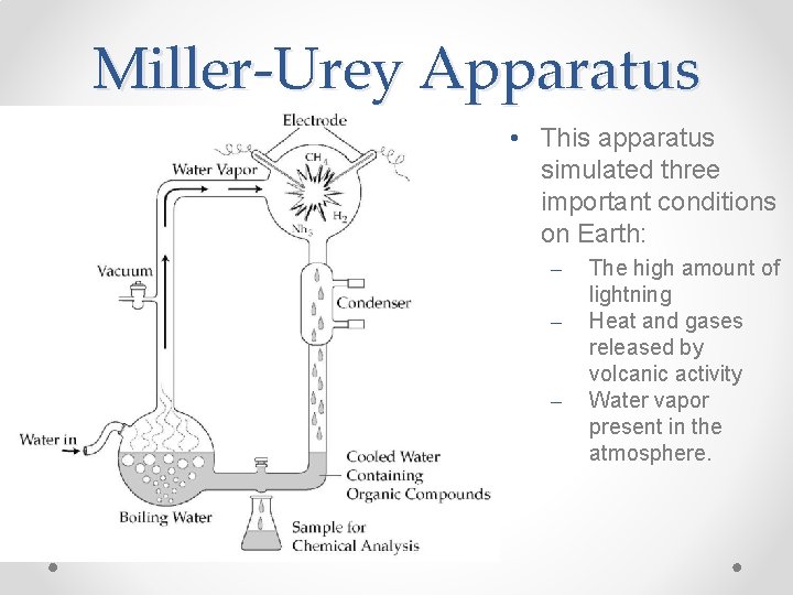 Miller-Urey Apparatus • This apparatus simulated three important conditions on Earth: – – –