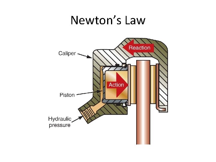 Newton’s Law 