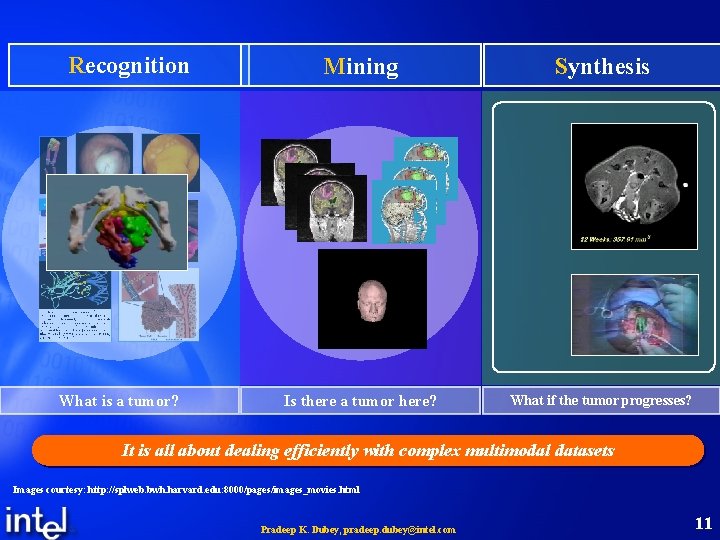 Recognition What is a tumor? Mining Synthesis Is there a tumor here? What if Recognition What is a tumor? Mining Synthesis Is there a tumor here? What if