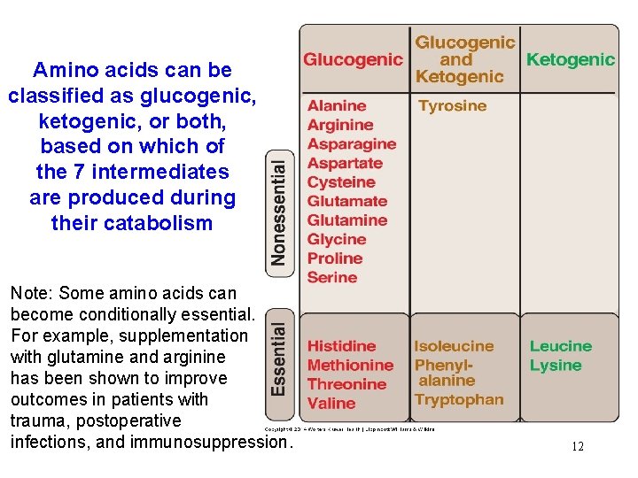 Amino acids can be classified as glucogenic, ketogenic, or both, based on which of