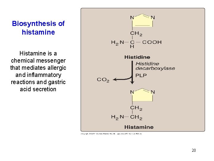 Biosynthesis of histamine Histamine is a chemical messenger that mediates allergic and inflammatory reactions