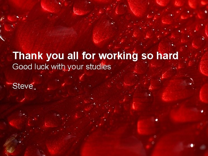 Thank you all for working so hard Good luck with your studies Steve 