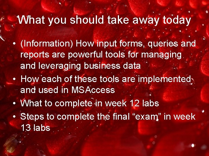 What you should take away today • (Information) How input forms, queries and reports