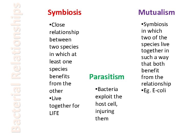 Bacterial Relationships Symbiosis Mutualism • Close relationship between two species in which at least