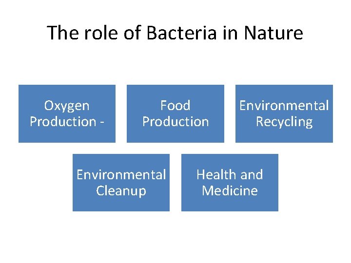 The role of Bacteria in Nature Oxygen Production - Food Production Environmental Cleanup Environmental