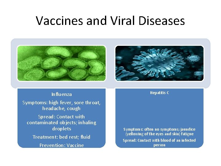 Vaccines and Viral Diseases Influenza Symptoms: high fever, sore throat, headache, cough Spread: Contact