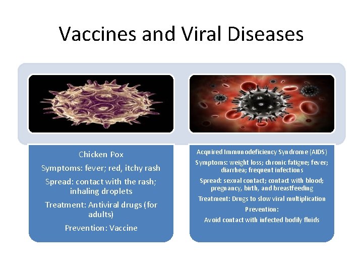 Vaccines and Viral Diseases Chicken Pox Symptoms: fever; red, itchy rash Spread: contact with