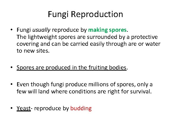 Fungi Reproduction • Fungi usually reproduce by making spores. The lightweight spores are surrounded