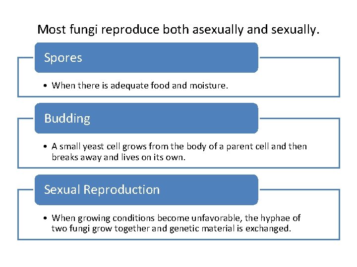 Most fungi reproduce both asexually and sexually. Spores • When there is adequate food