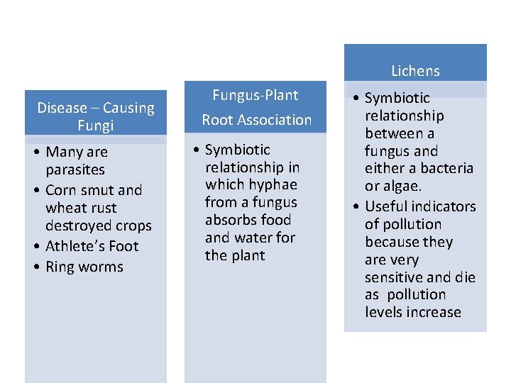 Lichens Disease – Causing Fungi • Many are parasites • Corn smut and wheat